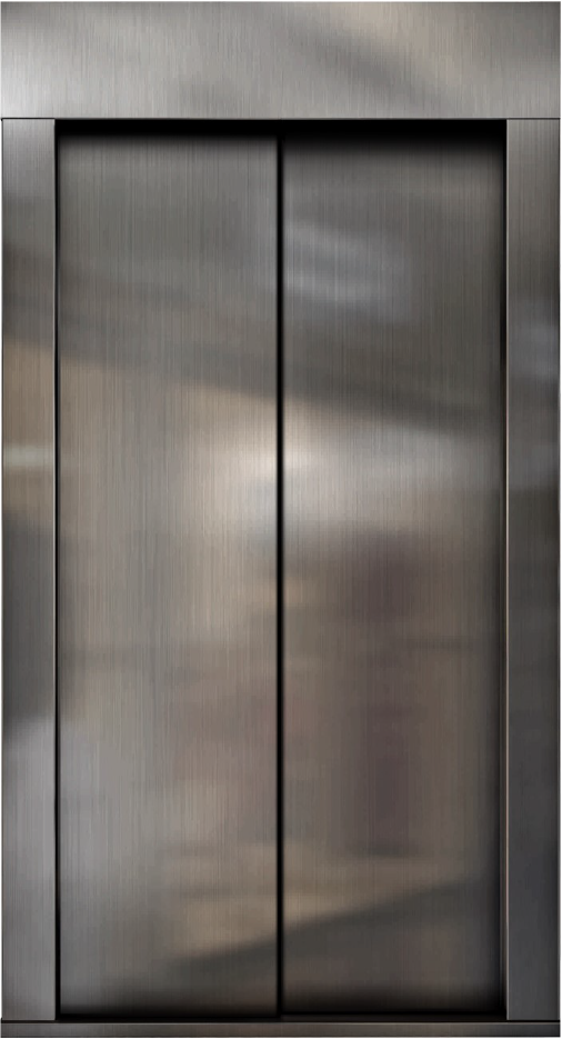 2 PANEL TELESKOBİK KAPI